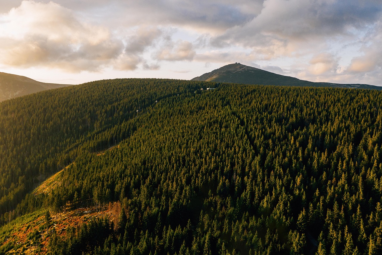 Widok ze Śnieżki